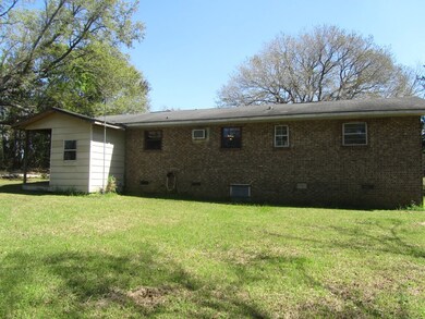 Back View