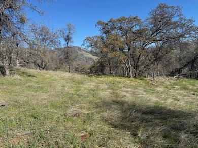 40 Big Springs Ln, Tollhouse, CA 93667 - photo 3