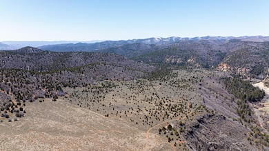 DJI_0362