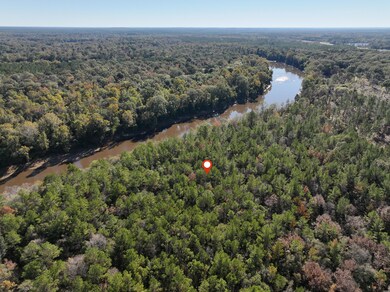 Old_Hwy_24_W_Lot_26-5