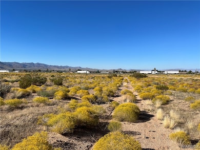 Looking to the North from East Property Line of Pa