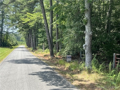 443 Tick Neck Rd, Foster, VA 23056 - photo 2