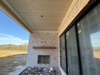 6001 Elliott Ct, Arrington, TN 37014 - photo 5