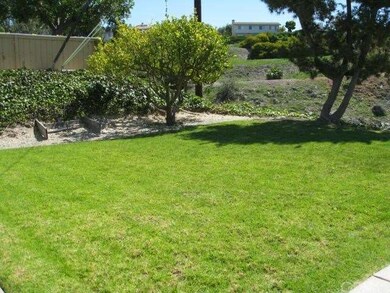 Back yard with mature lemon tree