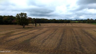 2 Cooke Rd, Alamo, TN 38001 - photo 3