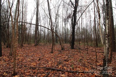 4+/-AC LOT 4 Eaker Rd, Kings Mountain, NC 28086 - photo 5