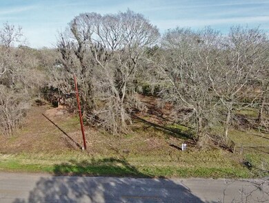 0 River Bend Dr unit 60811089, Brazoria, TX 77422 - photo 7