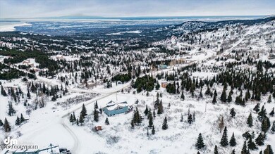 Arial Towards the Inlet