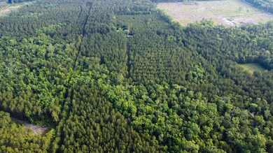 Blue Sparks SC Land for Sale-07