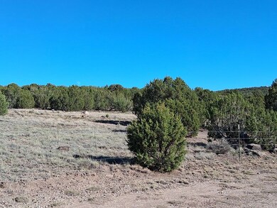 86 County Road 8227, Concho, AZ 85924 - photo 7