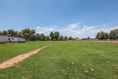 All fenced lot