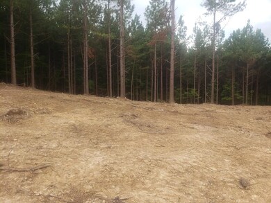 15 Acres Thomas Springs Rd, Crossville, TN 38572 - photo 6