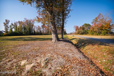 2117 Castle Hayne Rd, Wilmington, NC 28401 - photo 6