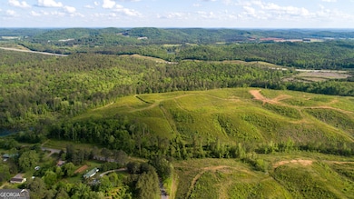 0 Old Blacks Bluff Rd SW unit 10652523, Rome, GA 30161 - photo 4