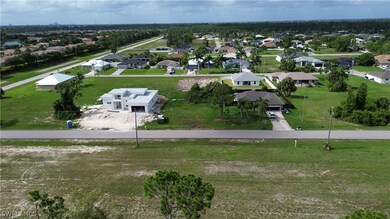 View of bird's eye view