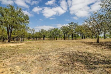 2016 Vaquero Dr, Weatherford, TX 76088 - photo 5