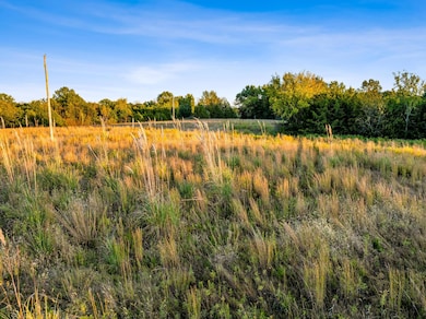 000 County Road 1044, Auxvasse, MO 65231 - photo 5