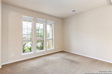 3810 Ox-Eye Daisy, San Antonio, TX 78261 - photo 6