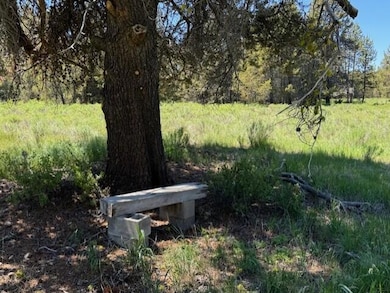 0 Nfd 440 Rd unit 220184517, Chiloquin, OR 97624 - photo 5