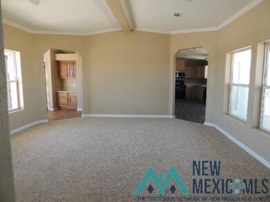 4217 Boyd Dr, Carlsbad, NM 88220 - photo 4