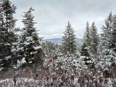 NKA Deer Creek Rd, Valley, WA 99181 - photo 3