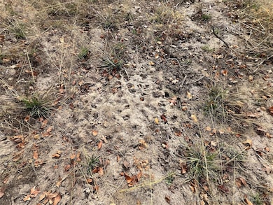 000000 Berryhill Rd, Jennings, OK 74038 - photo 3