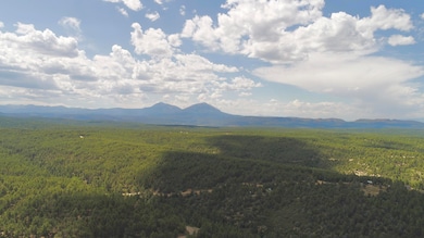 DJI_0173