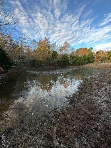 TBD Tract 2 Bobwhite Ln, Fairdealing, MO 63939 - photo 2