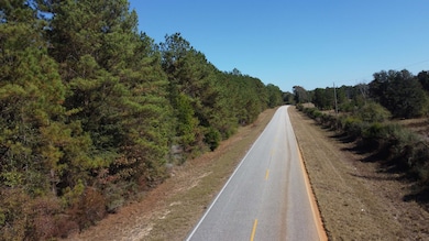 001 Open Pond Rd, Florala, AL 36442 - photo 6