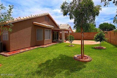 backyard_700