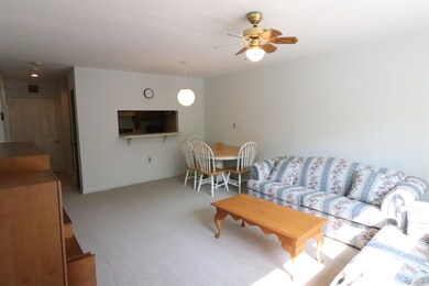 193 Main St unit 108, North Woodstock, NH 03262 - photo 4