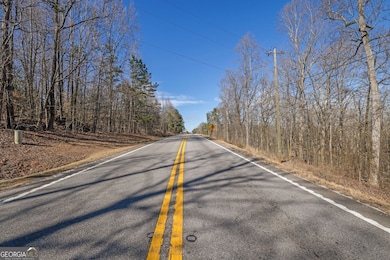 5368 Old Winder Hwy, Braselton, GA 30517 - photo 7