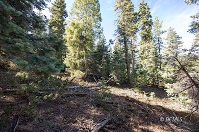 1285 W Twisted Trail, Duck Creek Village, UT 84762 - photo 3