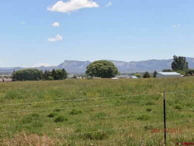 0 Road 24 1 unit 707704, Cortez, CO 81321 - photo 3