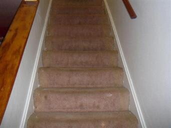 429 Sidney Ave unit E, Glendale Heights, IL 60139 - photo 4