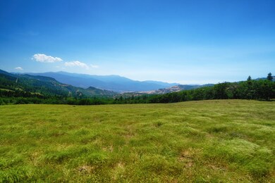 Firebird Farms_05