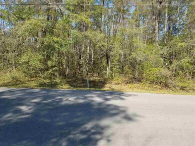 Lot 7 River Plantation Rd, Crawfordville, FL 32327 - photo 7