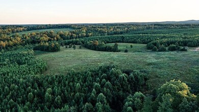 0 Grandview Ln unit LotWP001, Buckingham, VA 23921 - photo 4