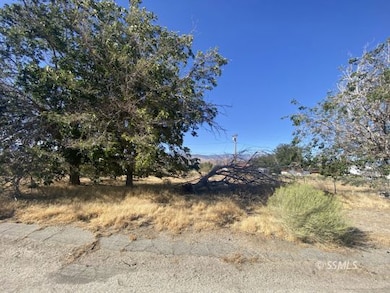 8521 Fremontia Way, Weldon, CA 93240 - photo 2