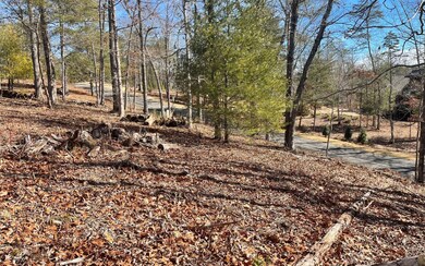 LT188 Old Toccoa Farm, Mineral Bluff, GA 30559 - photo 4