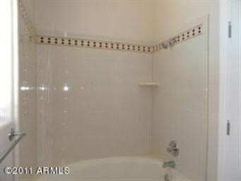 master bath tub shower