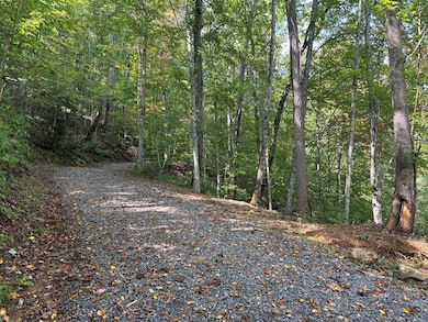 1887 Monteith Branch Rd, Sylva, NC 28779 - photo 7