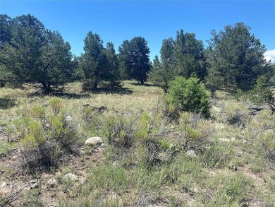 2049 Indian Well Overlook, Crestone, CO 81143 - photo 6