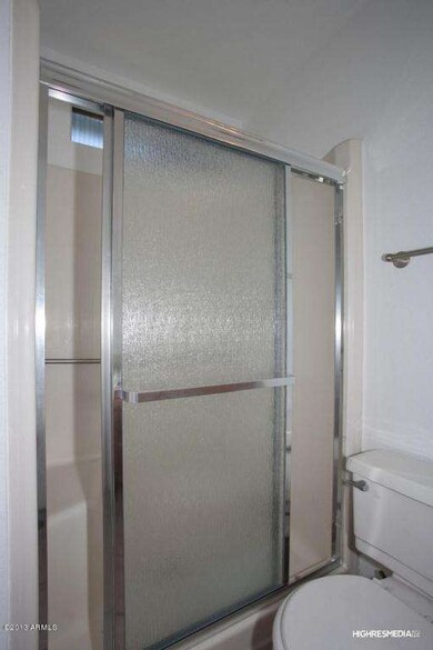 Master Bathroom Shower