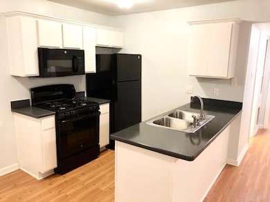 2301 Ohlen Rd unit 213, Austin, TX 78757 - photo 3