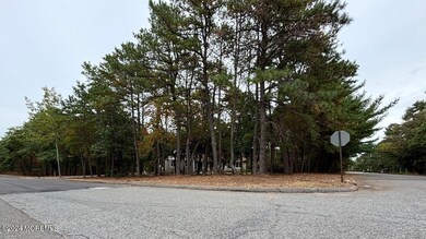 450 Coolidge Ave, Whiting, NJ 08759 - photo 5