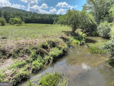 28 AC Jolley Way, Epworth, GA 30541 - photo 5