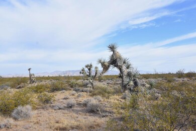 Lone Ranger Rd - 7