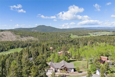 11033 Barker Ave, Conifer, CO 80433 - photo 3