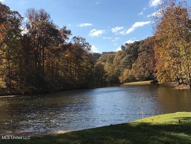 Mingo Lake